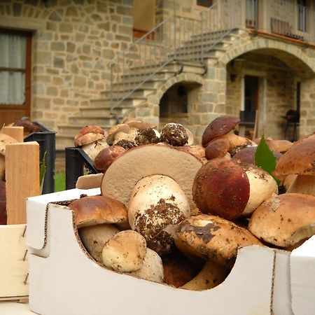 La Casa Del Sarto - Federicofarm Pontremoli Exterior foto